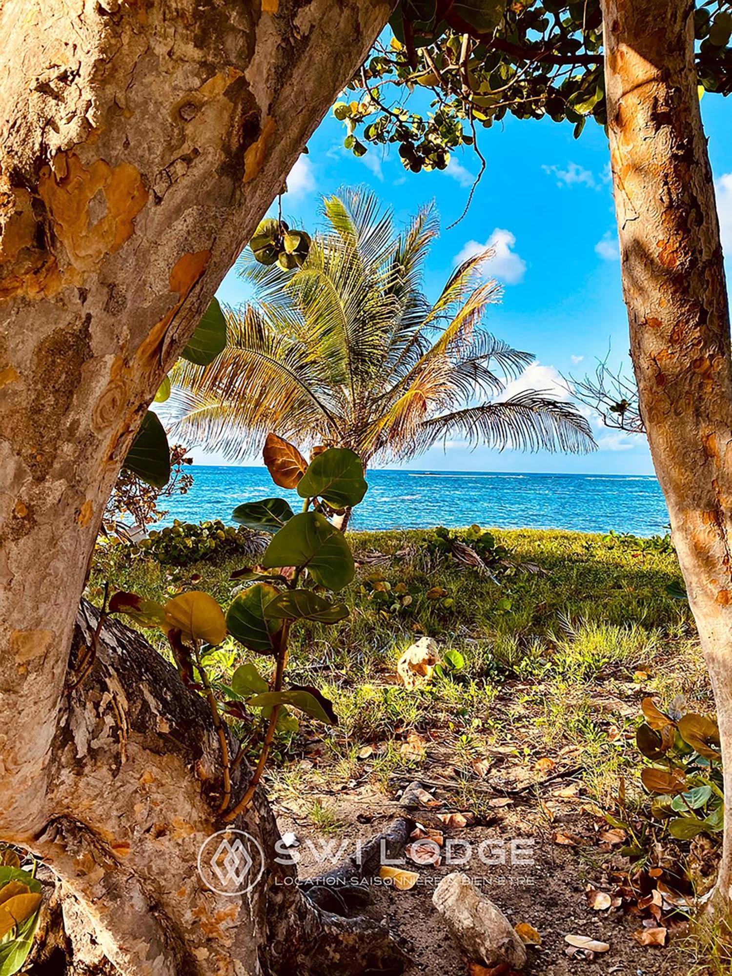 Swilodge Vue Sur Mer ! Petit Dejeuner Et Location De Voiture Possible Ле-Муль Екстер'єр фото